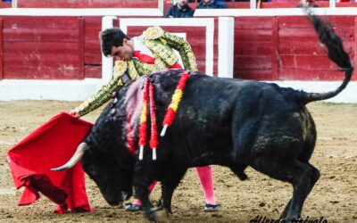 Toro cross à Guadarrama