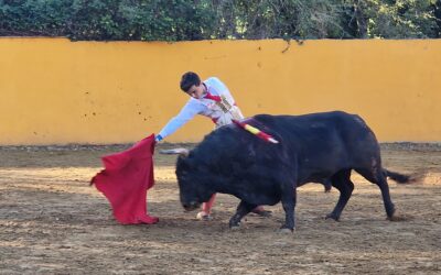 Succès pour cette premère Fiesta Campera dans le Sud-Ouest