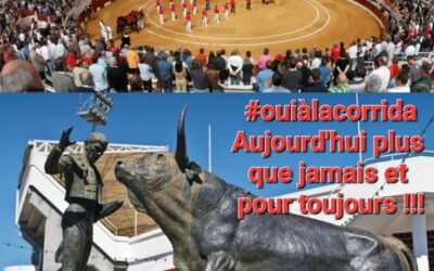 OUI à la corrida en France