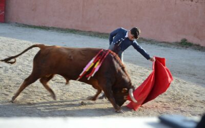 Fiesta Campera du 12 novembre par le journal « La Provence »