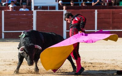 Victor CERRATO en finale des triomphateurs à Mejorada del Campo