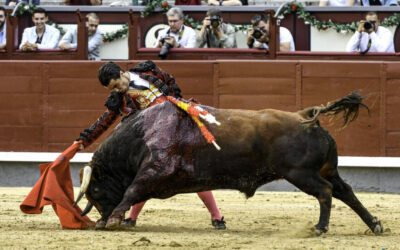 El novillero madrileño se sincera con Mundotoro